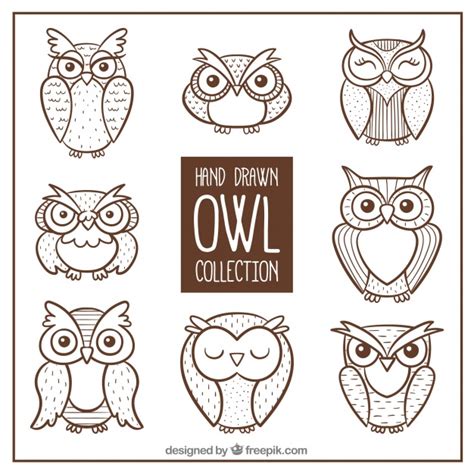 Premium Vector Pack Of Hand Drawn Owls Owls Drawing Owl Vector