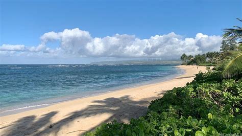 Waialua, HI Real Estate - Waialua Homes for Sale | realtor.com®