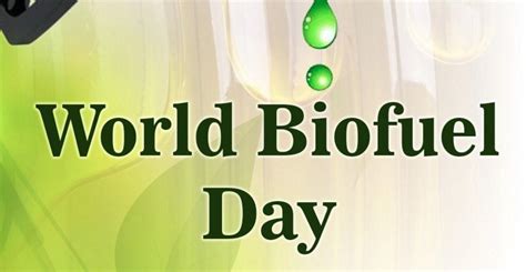 10 August World Biofuel Day