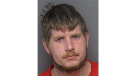 Sanilac Sheriff Seeks Hit And Run Suspect