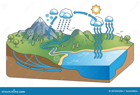 Water Cycle Diagram With Precipitation And Condensation Outline Concept Stock Vector