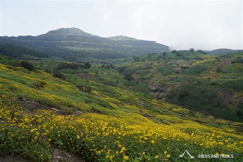 Harishchandragad Trek From Pune Treks And Trails India