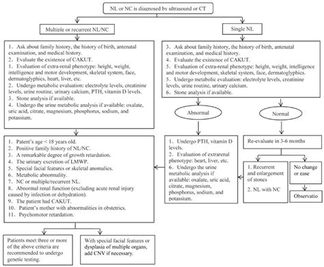 The Strategy Of Gene Testing For Nephrolithiasis Nlnephrocalcinosis