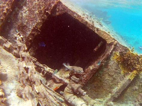 Grand Cayman snorkeling from the shore is wonderful