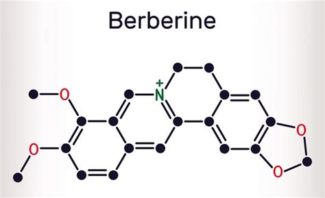 What is Berberine? Benefits, Dosage, and Risks