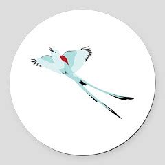 Scissortail Bird Sticker (Oval) Scissortail Bird Sticker by ...