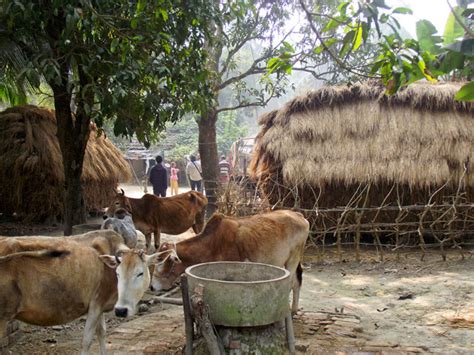 Bangladesh village in pictures showing life and beauty (Part-I)