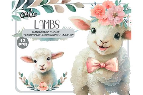 Watercolor Cute Baby Lambs Clipart Lamb With Flowers Png