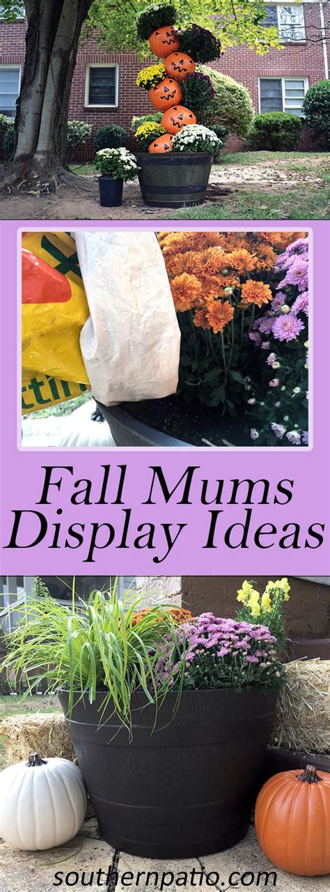 Fall Mums Display Ideas Southern Patio Fall Mums Fall Mums Decor