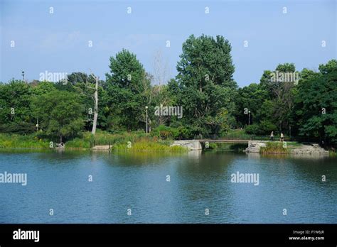 The East Lagoon In Humboldt Park Chicago Illinois Stock Photo Alamy