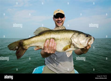 Portrait Of Man Holding Fish Stock Photo Alamy