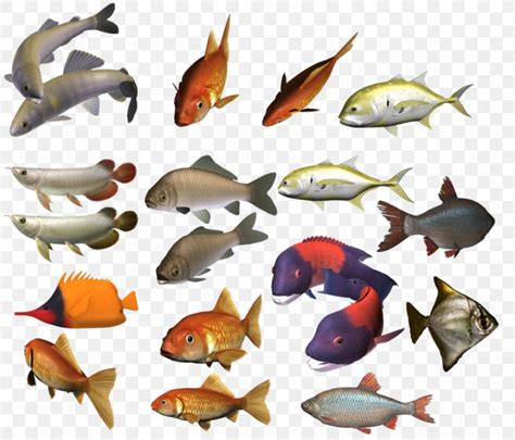 Shoaling And Schooling Fish Clip Art Png 900x770px Shoaling And