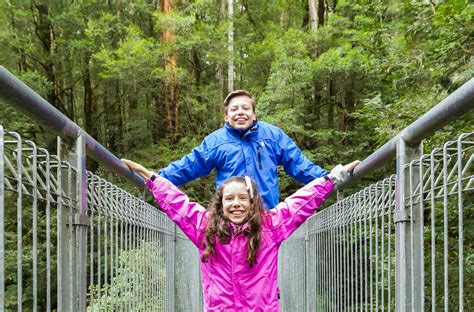 Otway Fly Treetop Walk - Otways - Adrenaline