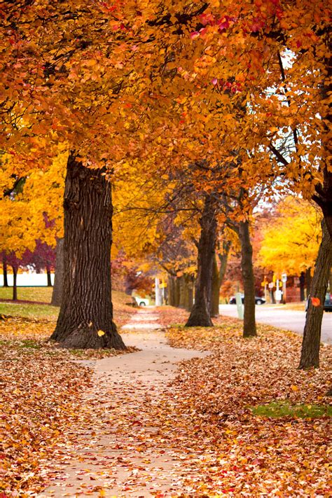 Fall Sidewalk By Fasterflame21 On Deviantart