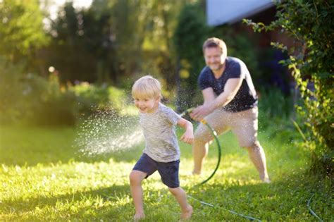 Trugreen Vs Diy Lawn Care Is The Time Savings Worth It