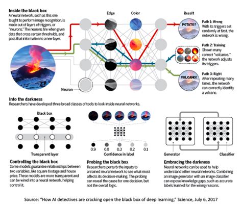 AI Black Box Horror Stories - When Transparency was Needed