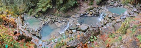 Cougar Terwilliger Hot Springs Willamette National Forest Oregon