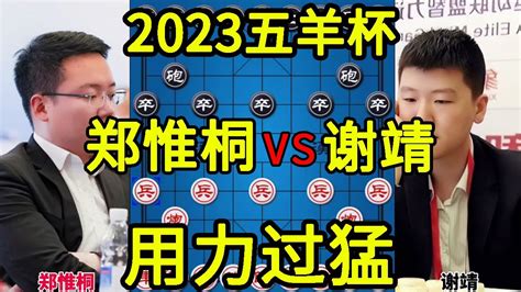 郑惟桐vs谢靖 杀的兴起中了对手飞刀 2023五羊杯【四郎讲棋】 Youtube