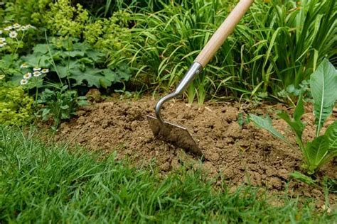 The 6 Best Garden Hoes – One for Every Budget - Zacs Garden