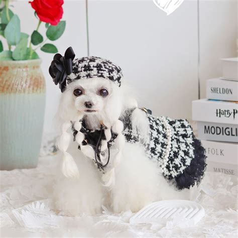 Chanel Dog Clothes