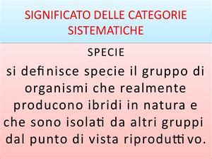 Calaméo Significato Delle Categorie Sistematiche