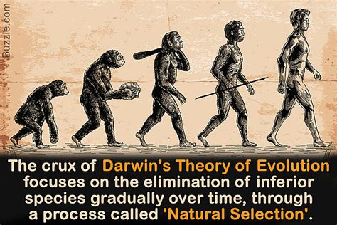 Charles Darwin Timeline Timetoast Timelines