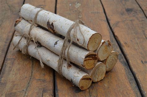 Birch Logs Birch Branches Wooden Ladle Wooden Utensils Rustic