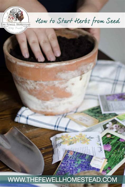 How to Start Herb Seeds For Your Garden - The Fewell Homestead