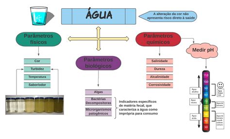 Saneamento Basico Mapa Mental Librain