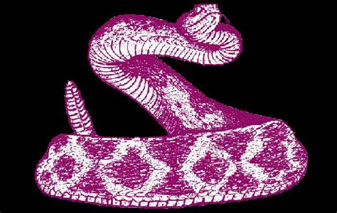 Image Result For Purple Rattlesnake Purple Rattlesnake