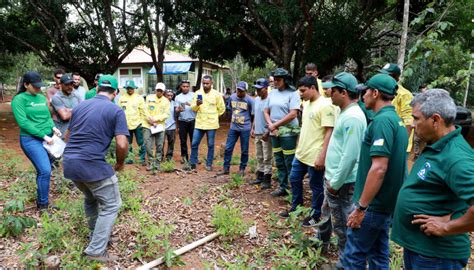 Olhar No Futuro Brigadistas Do Naturatins Participam De Curso