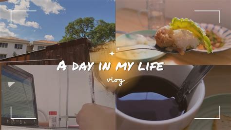 A Day In My Life Vlog 2 Living Alone In The Philippines Living