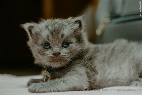 Persephone27x Nude OnlyFans Leaks Fappening FappeningBook