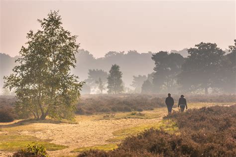 Dit Zijn De 10 Allermooiste Wandelroutes Op De Veluwe TopParken