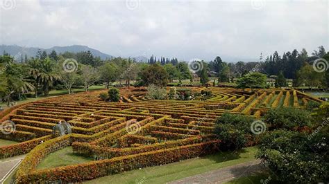 Plant Labirin Taman Bunga Nusantara Stock Photo - Image of bunga, nusa ...