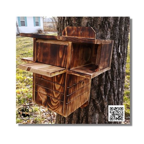 Squirrel Condo Nesting Box Two Entrancdes Wildlife Rehab Etsy