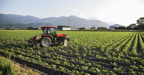 Smart Fertilisers For Food Security Pursuit By The University Of