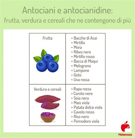 Antociani proprietà benefici e alimenti ricchi Melarossa