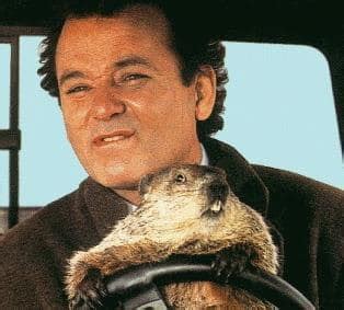 Punxsutawney Phil - Movie Fanatic