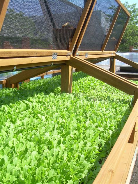 Raised Garden Bed With Greenhouse Top Arrue