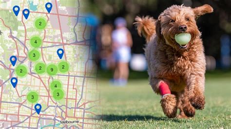 Off Leash Dog Areas In Melbournes North Herald Sun