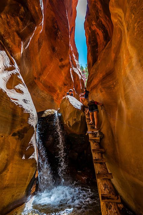 Hikers Climbing A Log Ladder In The Slot Canyon Kanarra Creek Falls