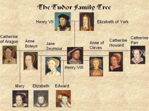 Tudor Family Tree | The tudor family, Family tree, Tudor history