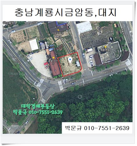 충남경매 논산시 성동면 삼호리 대지 대박경매부동산 네이버 블로그