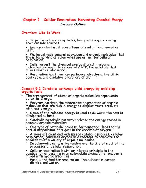 Chapter 9 Cellular Respiration Energy Enters Most Ecosystems As