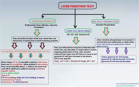 Prothrombin Time Liver Function Test Bile Duct Med Student Abnormal