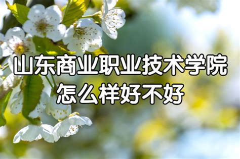 山东商业职业技术学院怎么样好不好？（什么档次、王牌专业、口碑