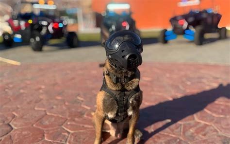 Reconoce SSBC A Beto Condecorado Agente Canino K9 Lamentablemente