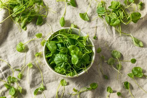 Le cresson un légume feuille oublié aux nombreux bienfaits santé