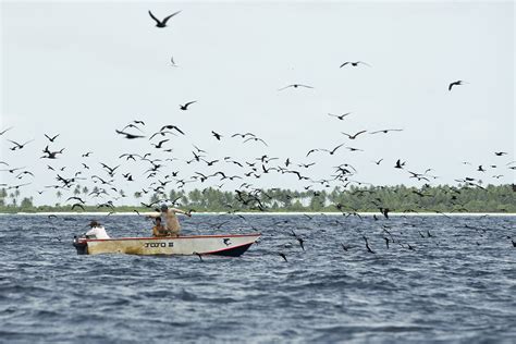 Overfishing Kiribati Ocean Oceans Destructive Fishing Christian